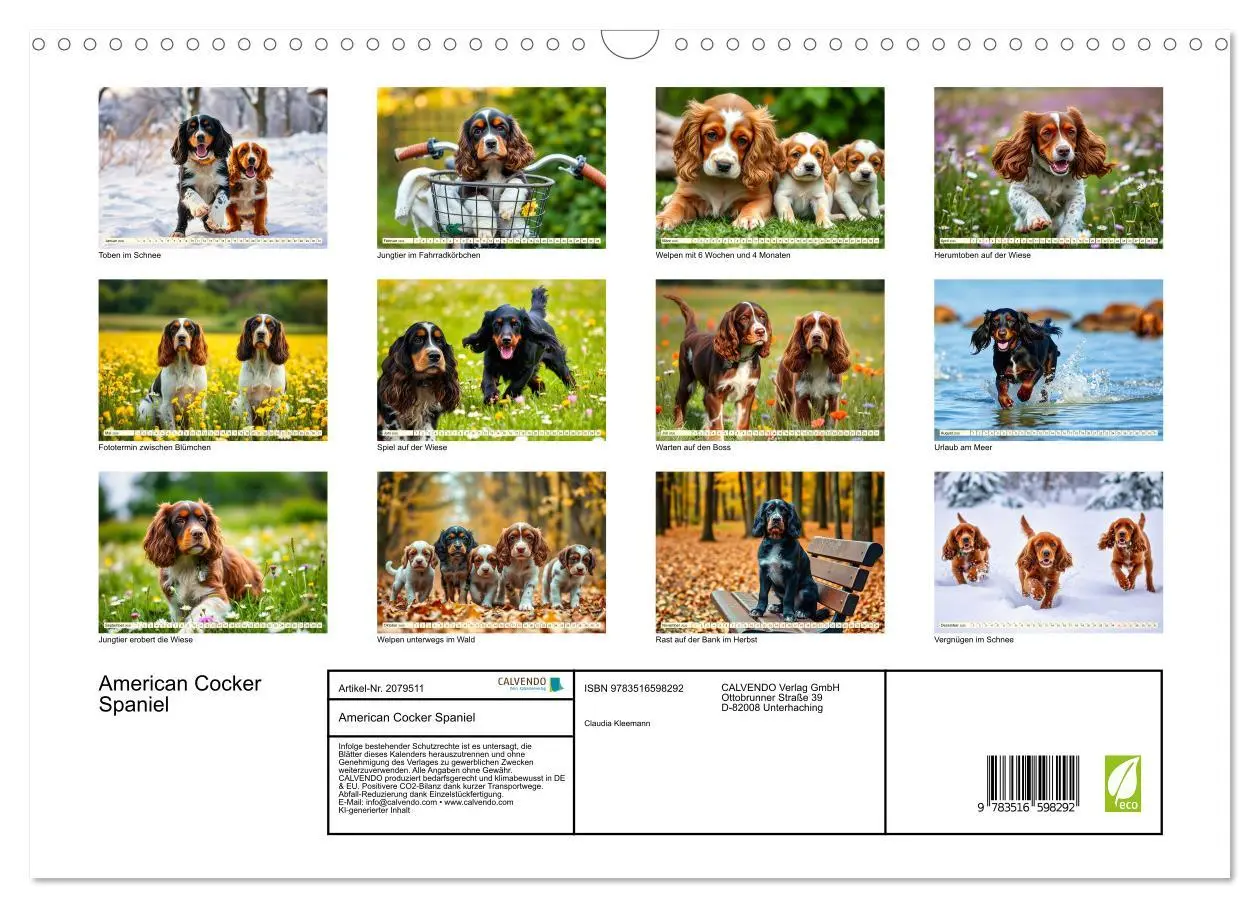 Bild: 9783516598292 | American Cocker Spaniel (Wandkalender 2026 DIN A3 quer), CALVENDO...