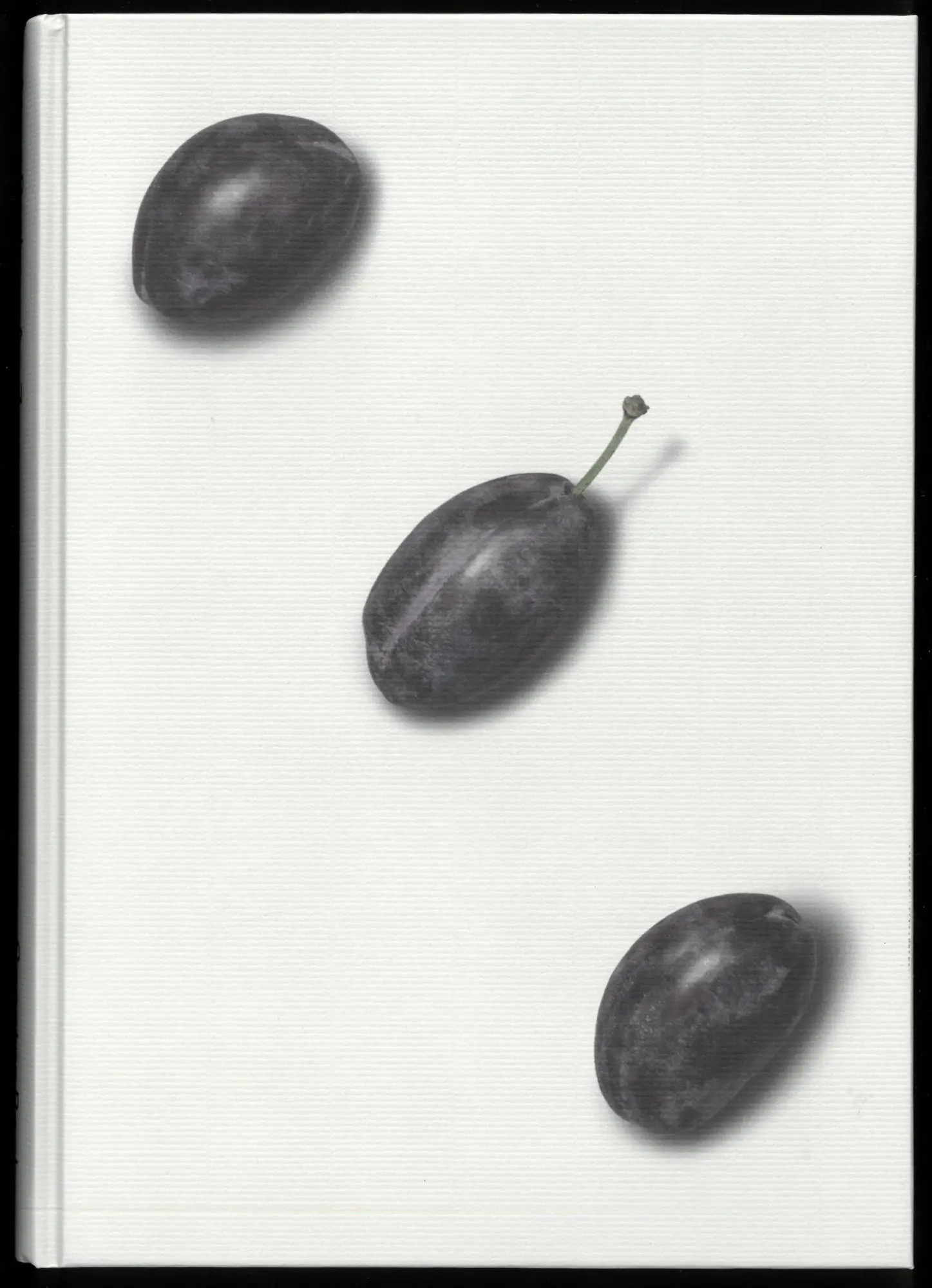 Cover: 9783959058292 | Anna Paul - Sieben Zwetschken | Unvollständiges Nachschlagewerk | Buch