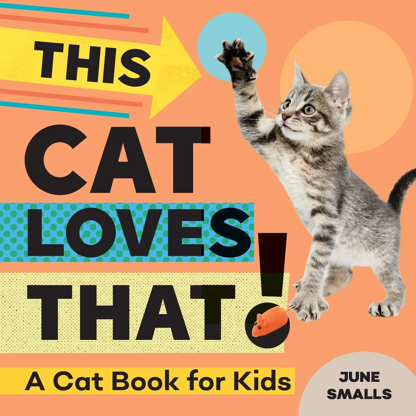 Cover: 9781647398392 | This Cat Loves That! | A Cat Book for Kids | June Smalls | Taschenbuch