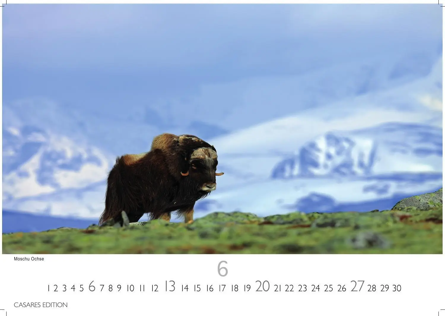Bild: 9781835248492 | Grönland Kalender 2027 - Wandkalender Fotokalender Nordeuropa...