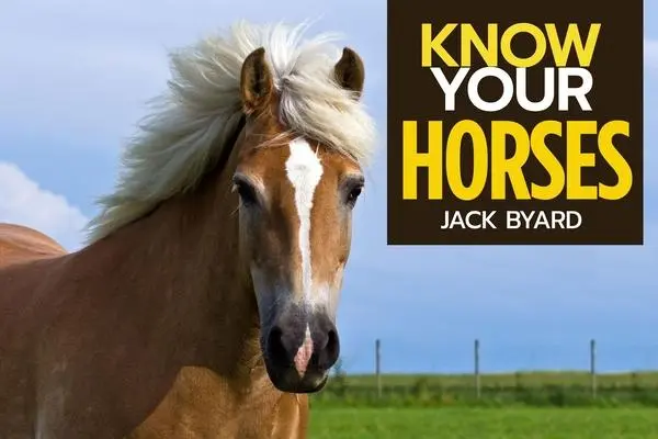 Cover: 9781912158492 | Know Your Horses | Jack Byard | Taschenbuch | Kartoniert / Broschiert