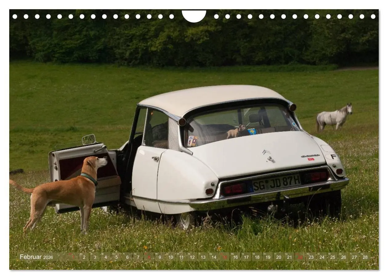 Bild: 9783516028492 | Citroën DS - Göttin in weiß (Wandkalender 2026 DIN A4 quer),...