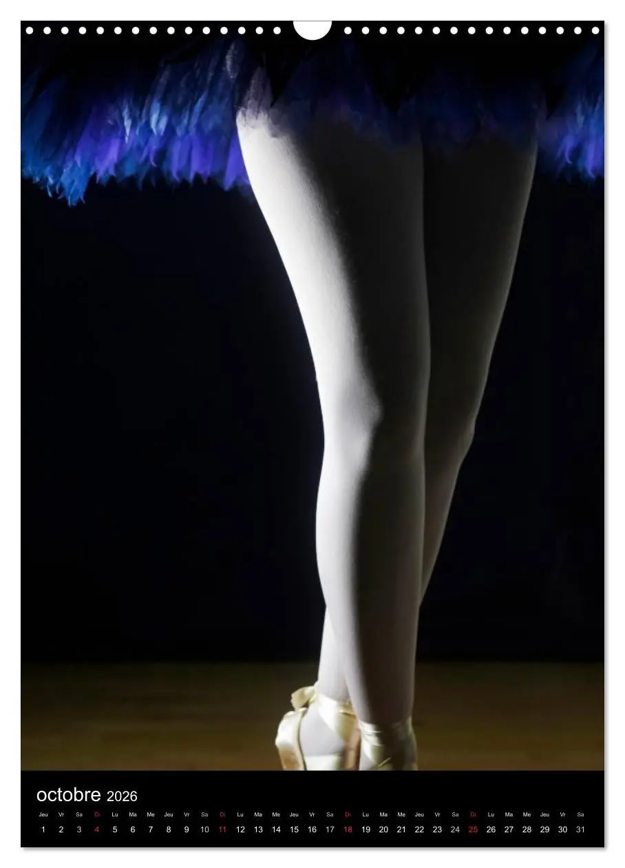 Bild: 9783516578492 | BALLERINE (Calendrier mural 2026 DIN A3 horizontal), CALVENDO...
