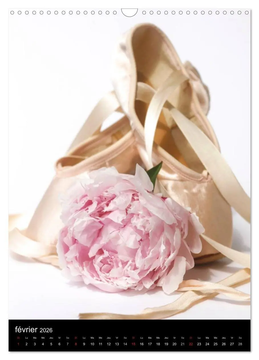 Bild: 9783516578492 | BALLERINE (Calendrier mural 2026 DIN A3 horizontal), CALVENDO...