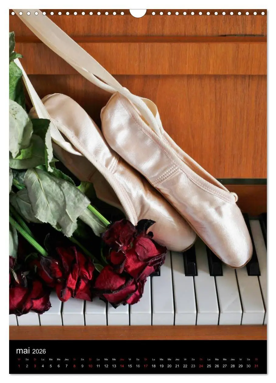 Bild: 9783516578492 | BALLERINE (Calendrier mural 2026 DIN A3 horizontal), CALVENDO...