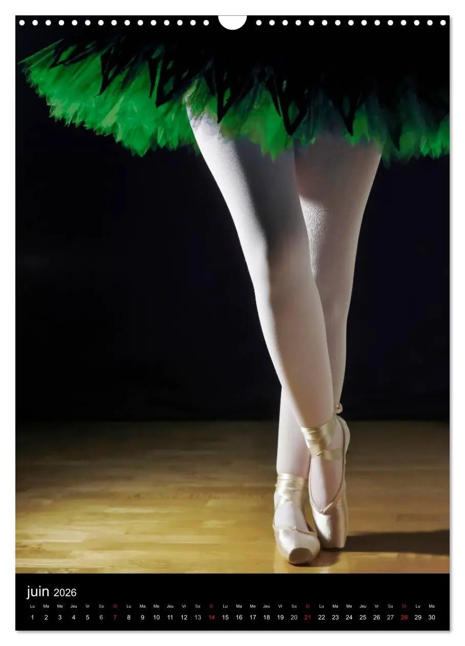 Bild: 9783516578492 | BALLERINE (Calendrier mural 2026 DIN A3 horizontal), CALVENDO...