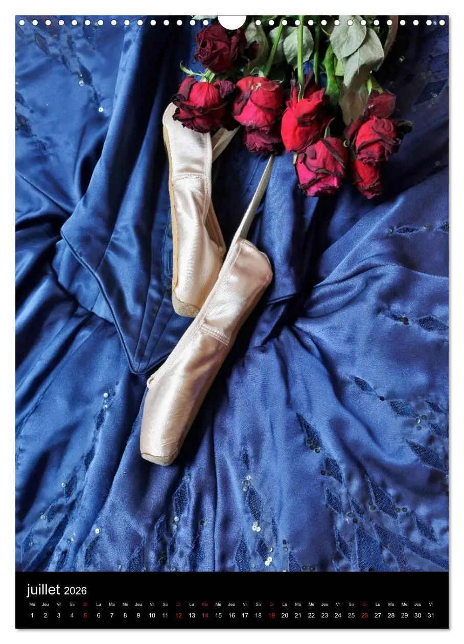 Bild: 9783516578492 | BALLERINE (Calendrier mural 2026 DIN A3 horizontal), CALVENDO...