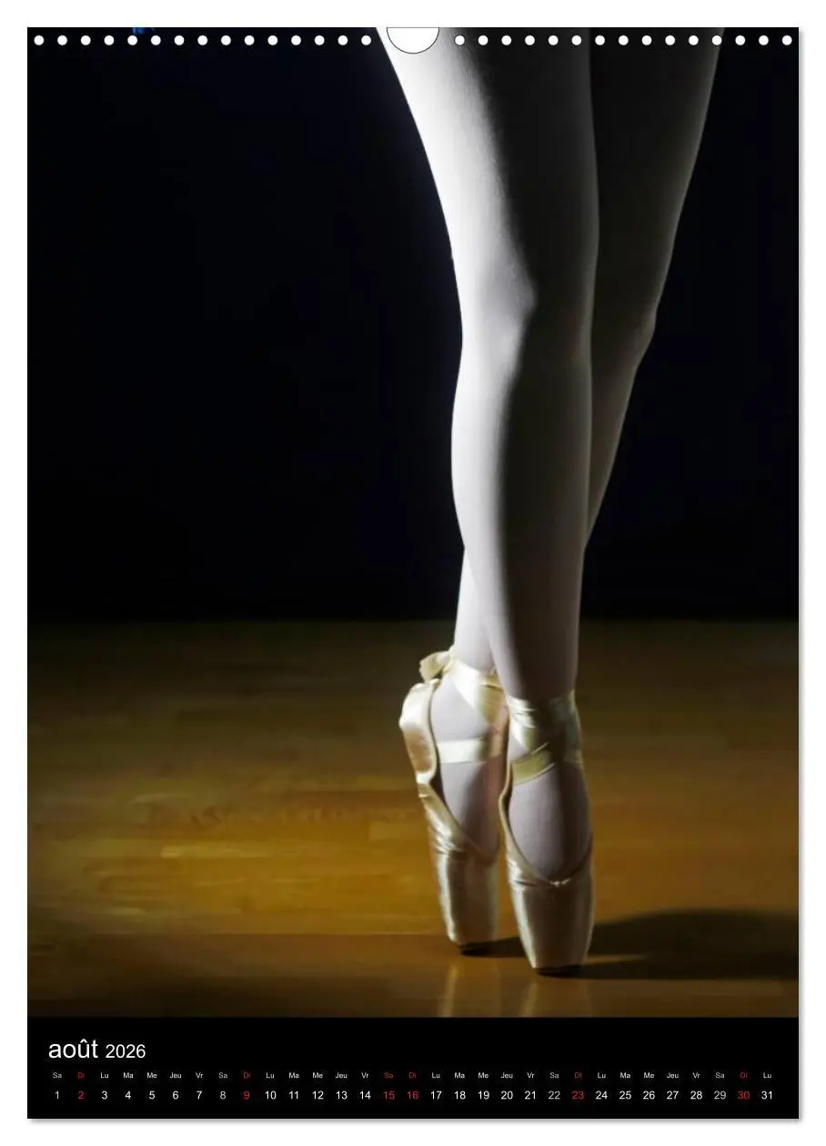 Bild: 9783516578492 | BALLERINE (Calendrier mural 2026 DIN A3 horizontal), CALVENDO...