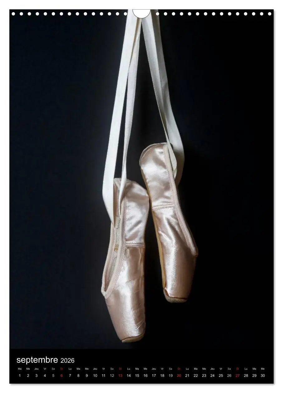 Bild: 9783516578492 | BALLERINE (Calendrier mural 2026 DIN A3 horizontal), CALVENDO...