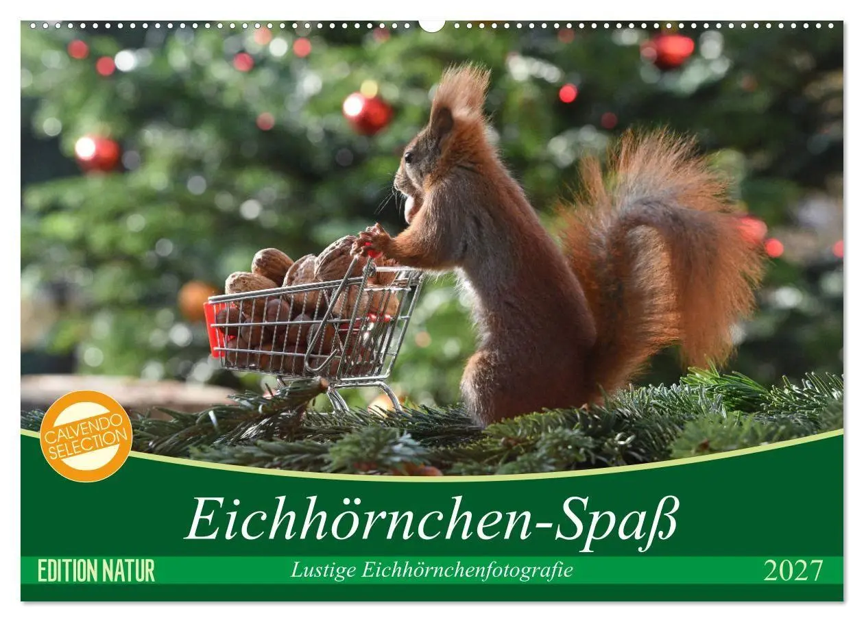 Cover: 9783569978492 | Eichhörnchen-Spaß (Wandkalender 2027 DIN A2 quer), CALVENDO...