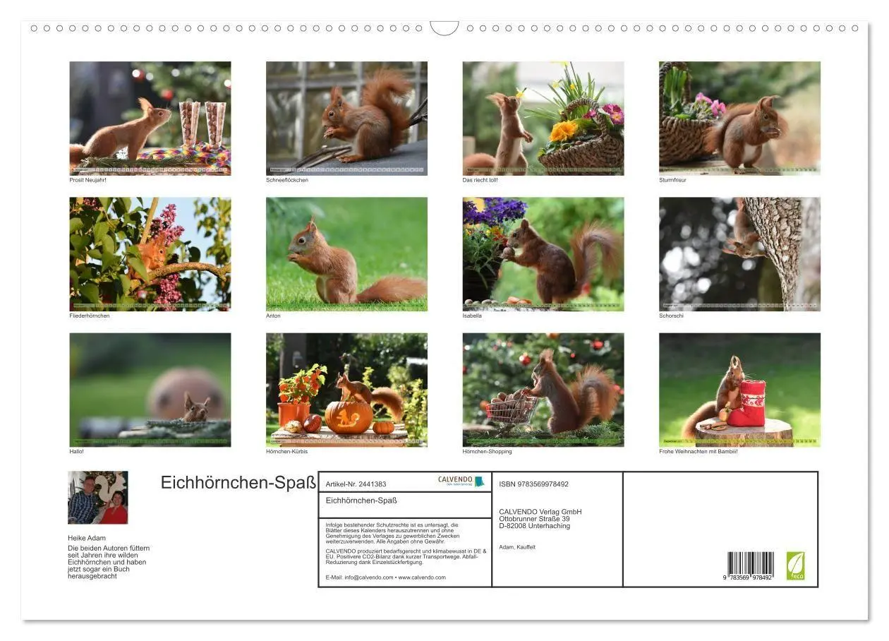 Bild: 9783569978492 | Eichhörnchen-Spaß (Wandkalender 2027 DIN A2 quer), CALVENDO...