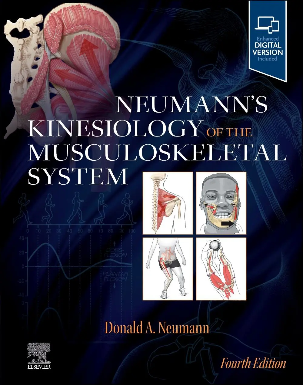 Cover: 9780323718592 | Neumann's Kinesiology of the Musculoskeletal System | Neumann | Buch