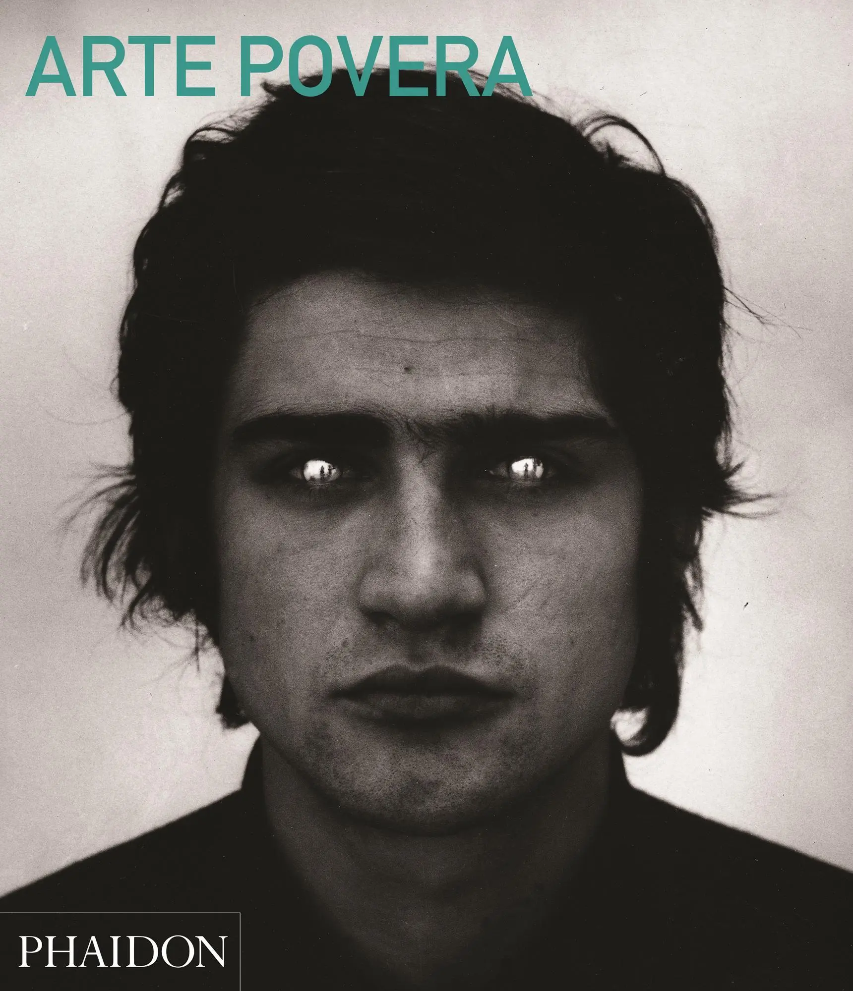 Cover: 9780714868592 | Arte Povera | Abridged Edition | Carolyn Christov Bakargiev | Buch
