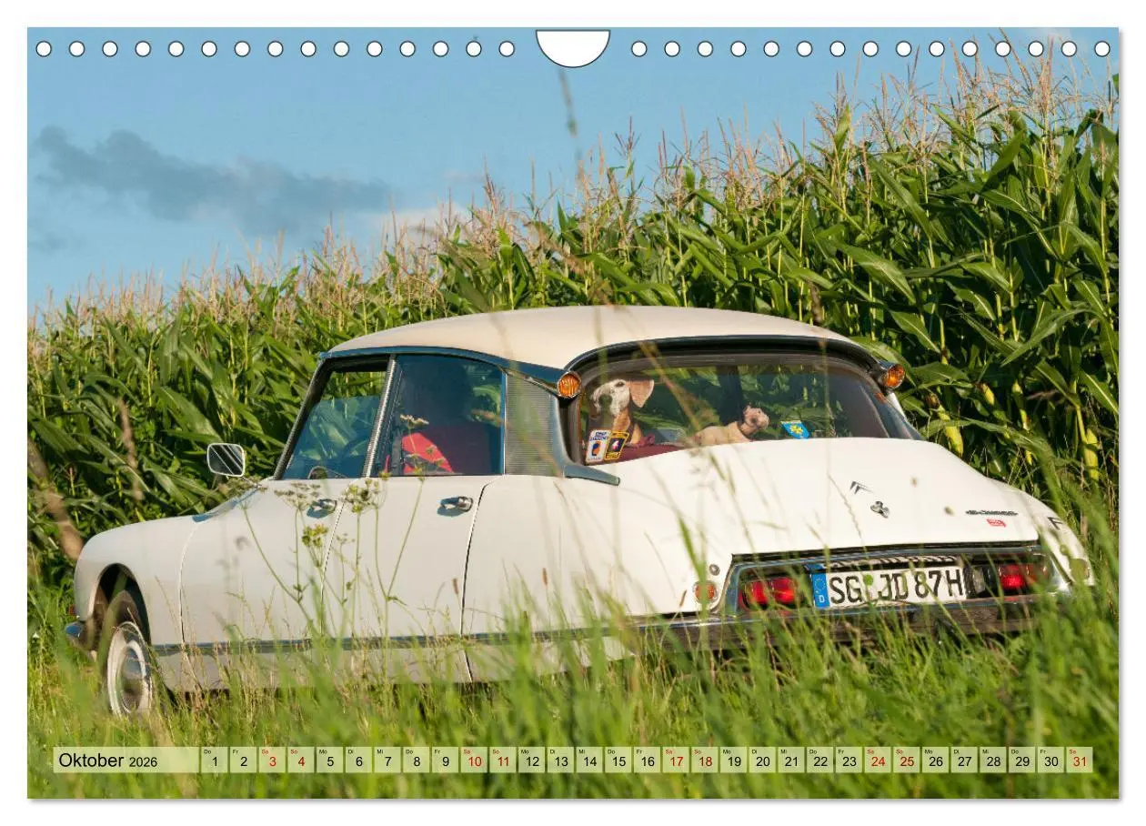 Bild: 9783457618592 | Französische Klassiker - 2CV und D Modell Oldtimer (Wandkalender...