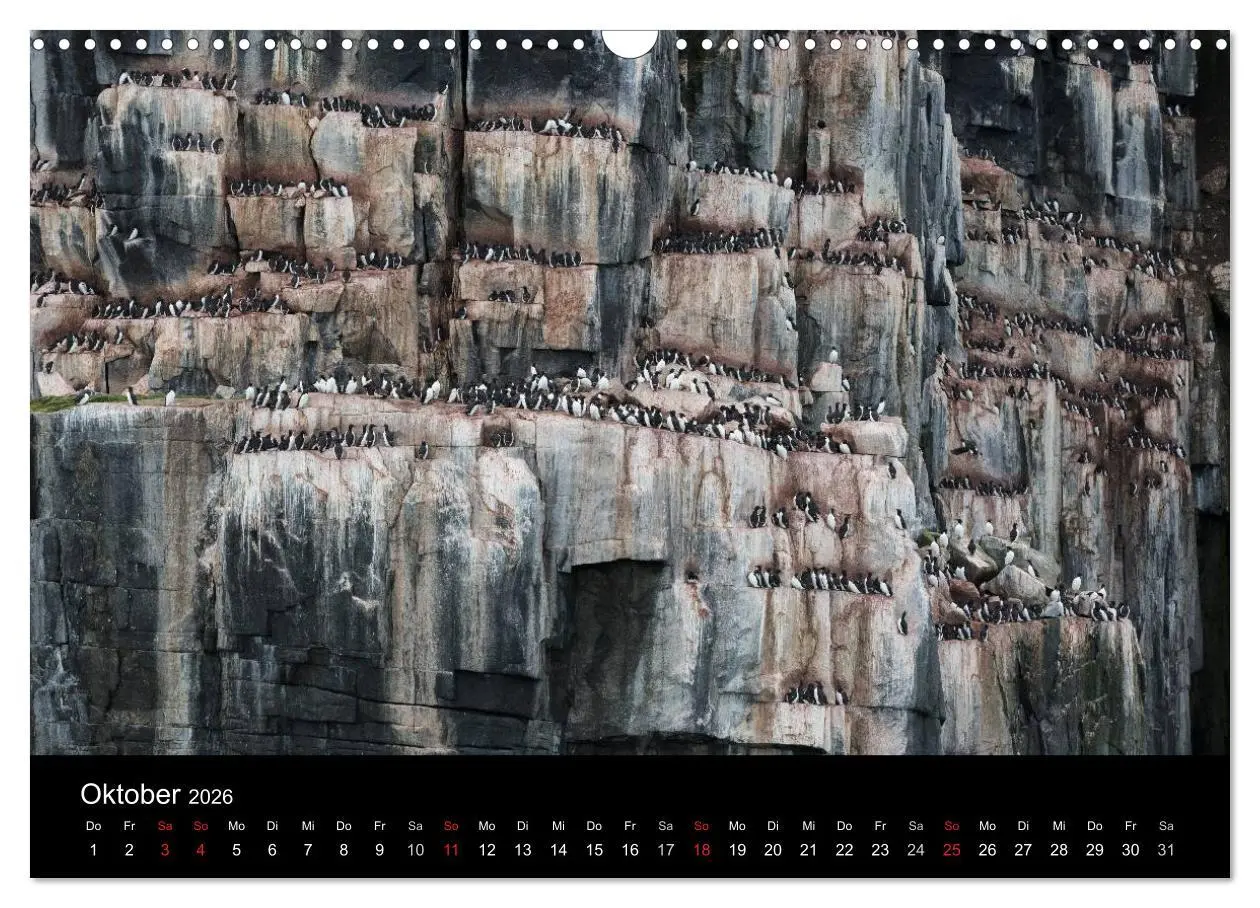 Bild: 9783516018592 | TRAUMZIEL ARKTIS, Impressionen vom Rand der Welt (Wandkalender 2026...