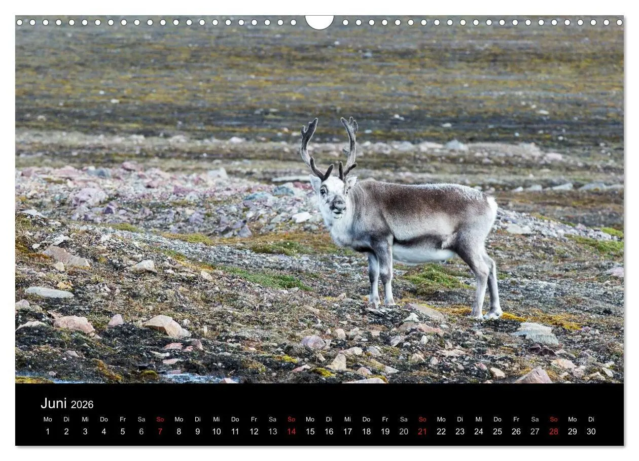 Bild: 9783516018592 | TRAUMZIEL ARKTIS, Impressionen vom Rand der Welt (Wandkalender 2026...