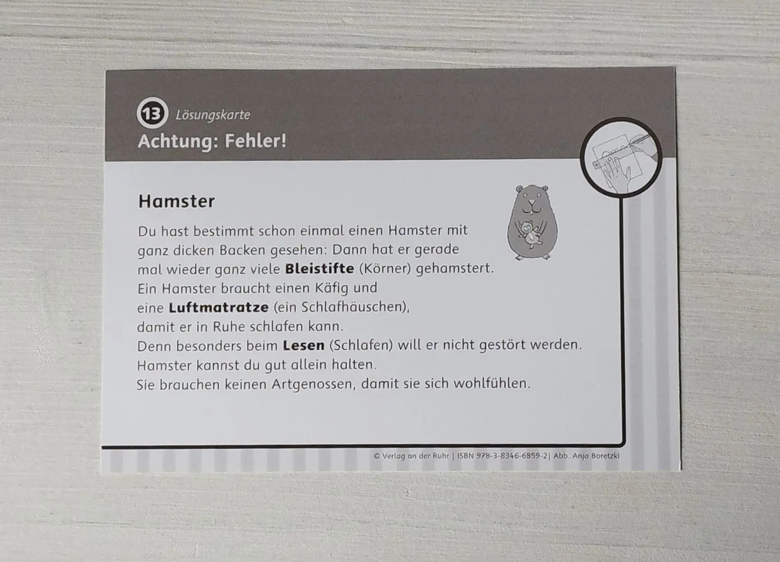Bild: 9783834668592 | Lies dich schlau! Leseförderung für Klasse 2-3 | Astrid Grabe | Box