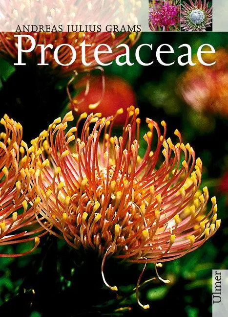 Cover: 9783800138692 | Proteaceae | Andreas Julius Grams | Buch | Pflanzen-Monographien Cover: 9783800138692 | Proteaceae | Andreas Julius Grams | Buch | Pflanzen-Monographien