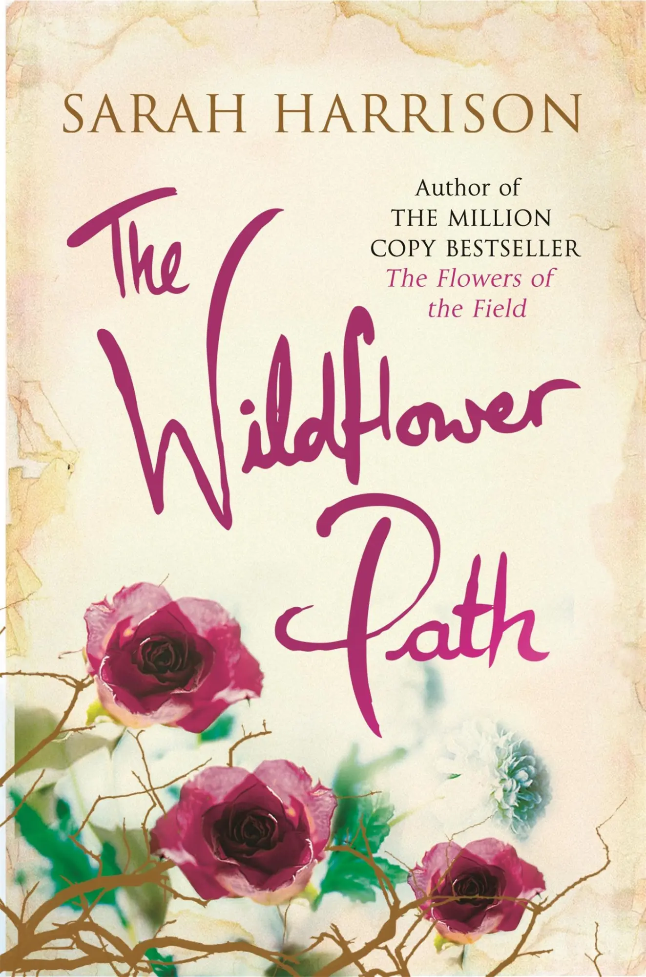 Cover: 9781409128892 | The Wildflower Path | Sarah Harrison | Taschenbuch | Englisch | 2014
