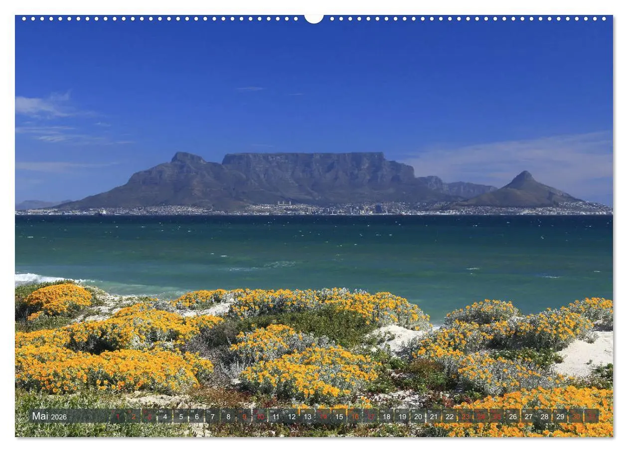 Bild: 9783516088892 | Südafrika - Westkap (Wandkalender 2026 DIN A2 quer), CALVENDO...