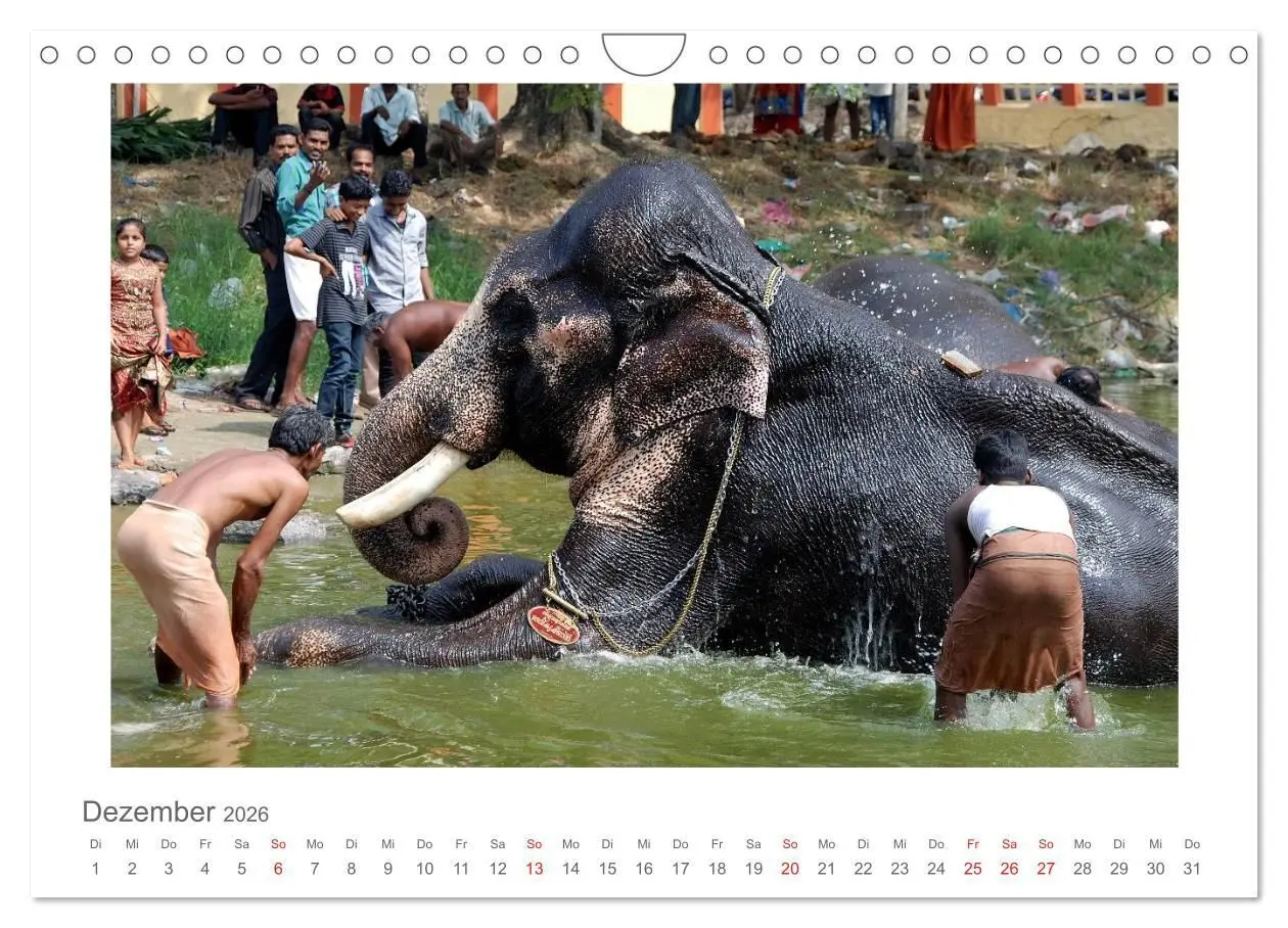 Bild: 9783516228892 | Farbenfrohes Kerala - Eindrücke aus God´s Own Country (Wandkalender...