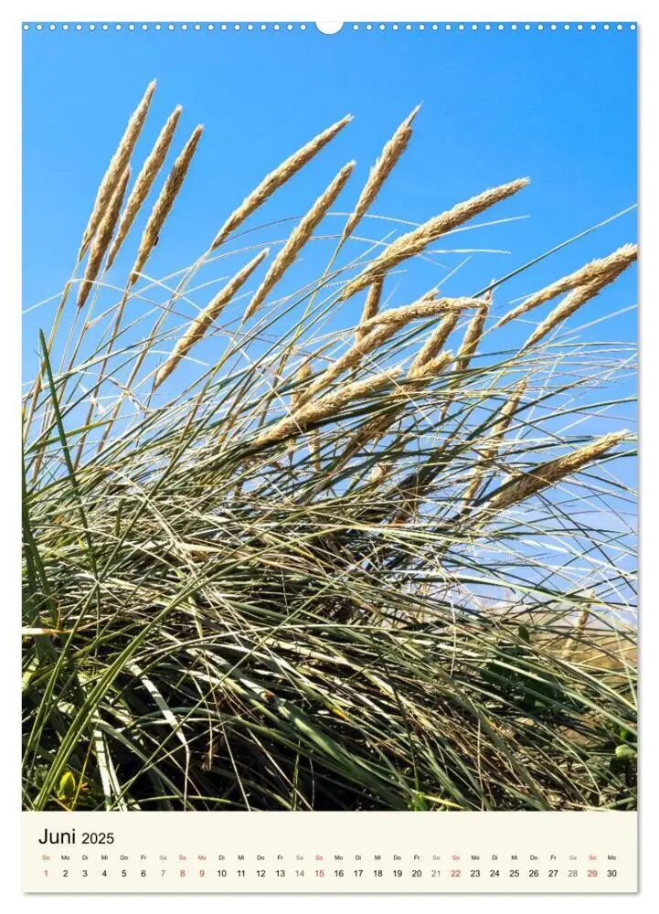 Bild: 9783435968992 | LANGEOOG Strandspaziergang (Wandkalender 2025 DIN A2 hoch),...