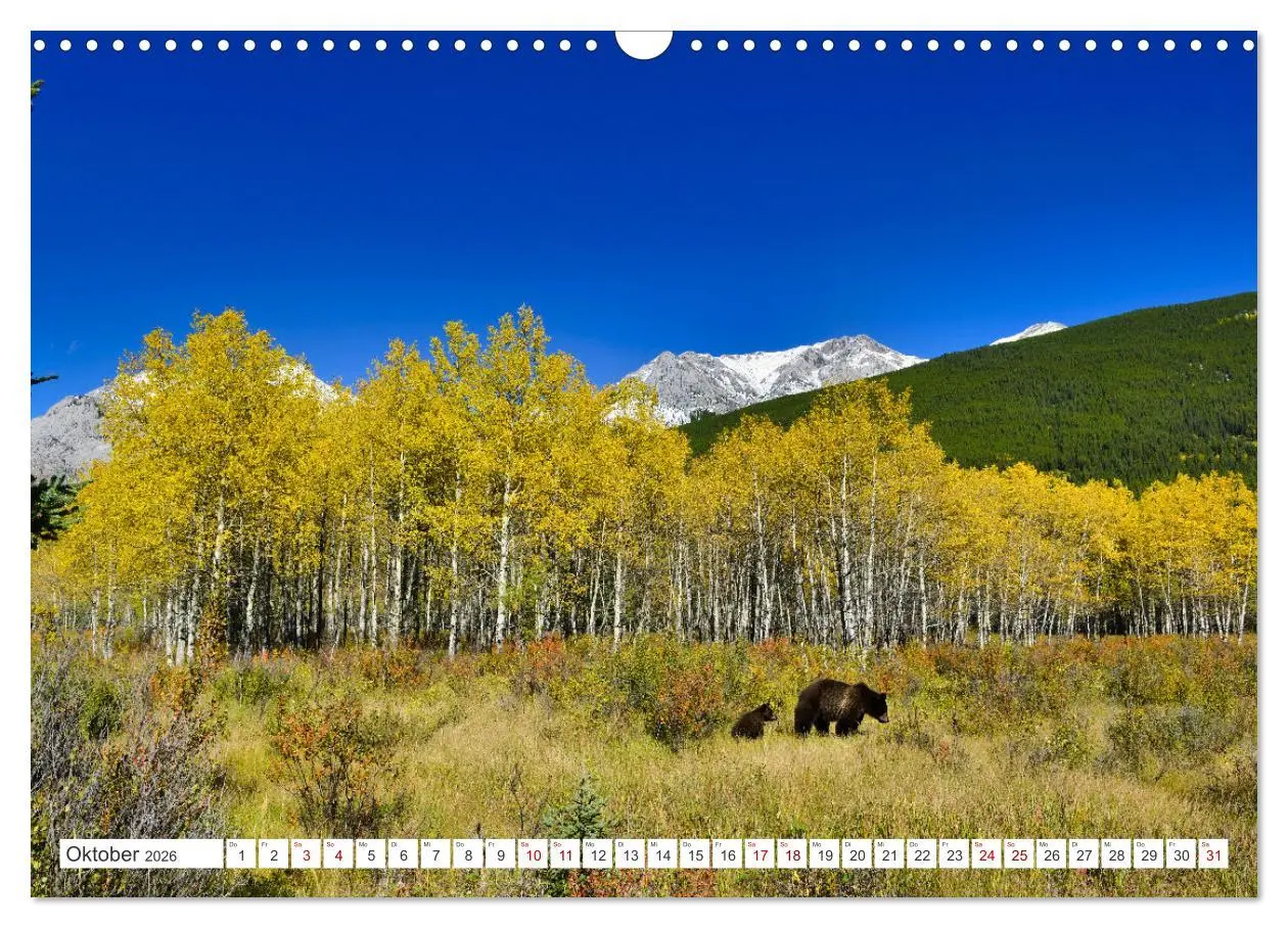 Bild: 9783457508992 | KANADA - Die Bären der Rocky Mountains (Wandkalender 2026 DIN A3...