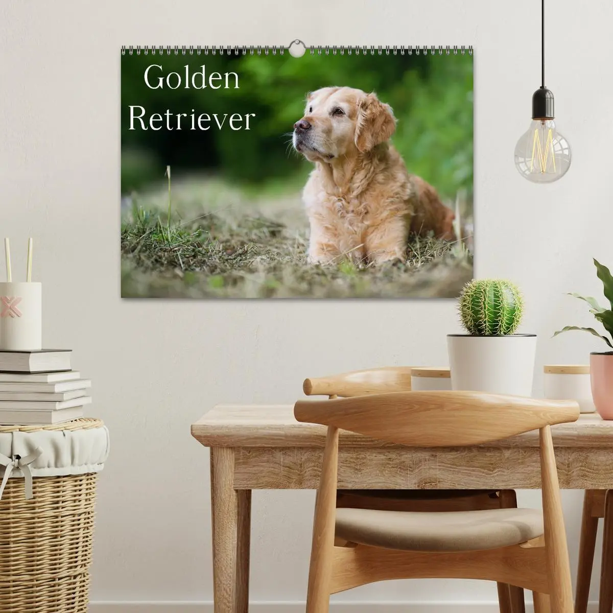 Bild: 9783516148992 | Golden Retriever (Wandkalender 2026 DIN A3 quer), CALVENDO...