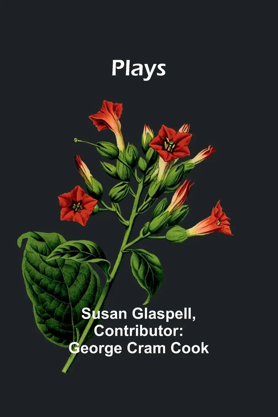 Cover: 9789357918992 | Plays | Susan Glaspell | Taschenbuch | Englisch | 2023