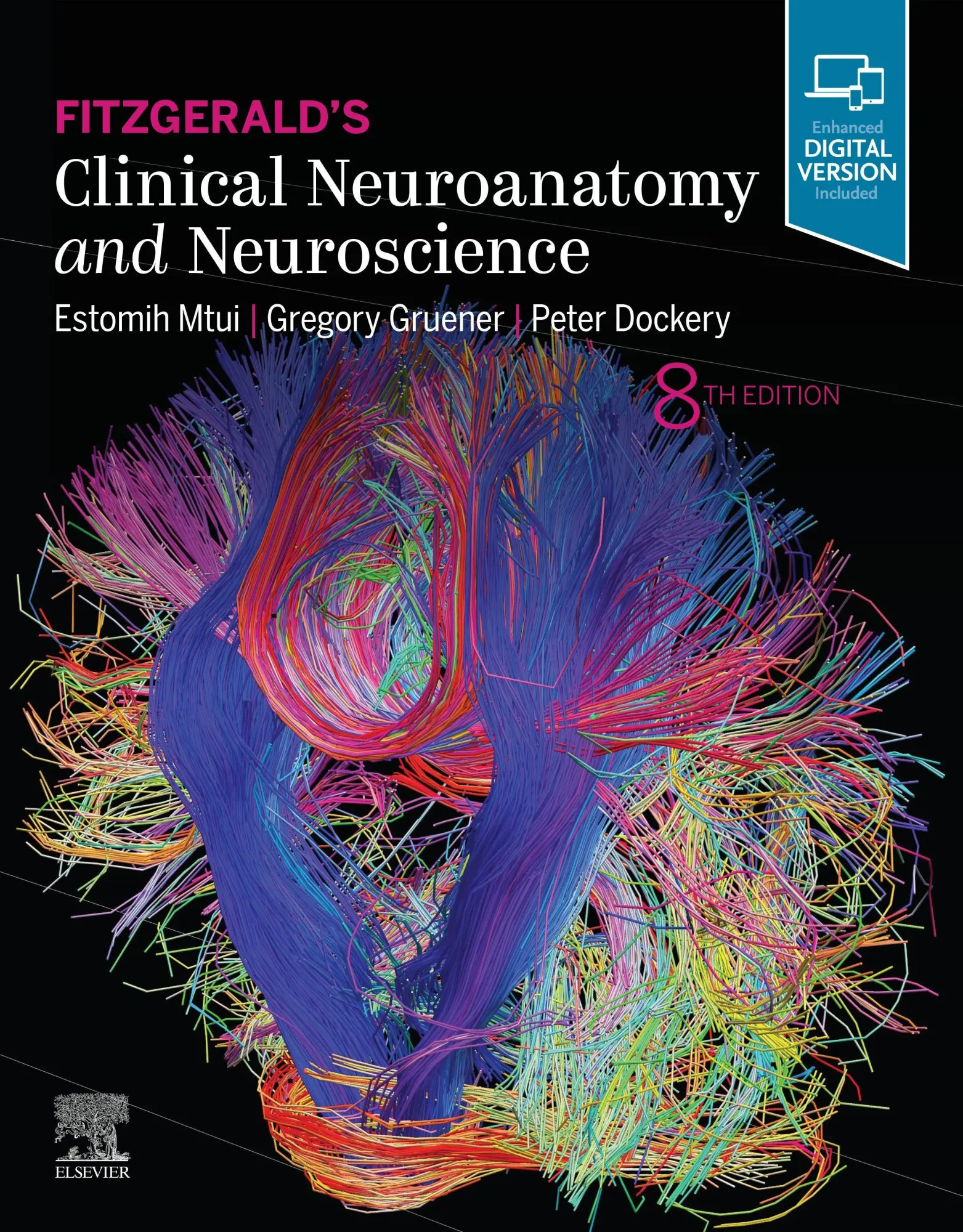 Cover: 9780702079092 | Fitzgerald's Clinical Neuroanatomy and Neuroscience | Mtui (u. a.)
