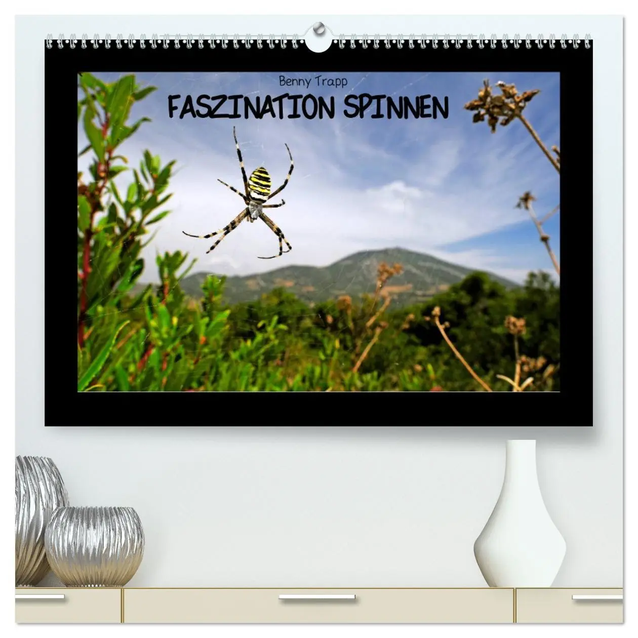 Cover: 9783457709092 | Faszination Spinnen (hochwertiger Premium Wandkalender 2026 DIN A2...