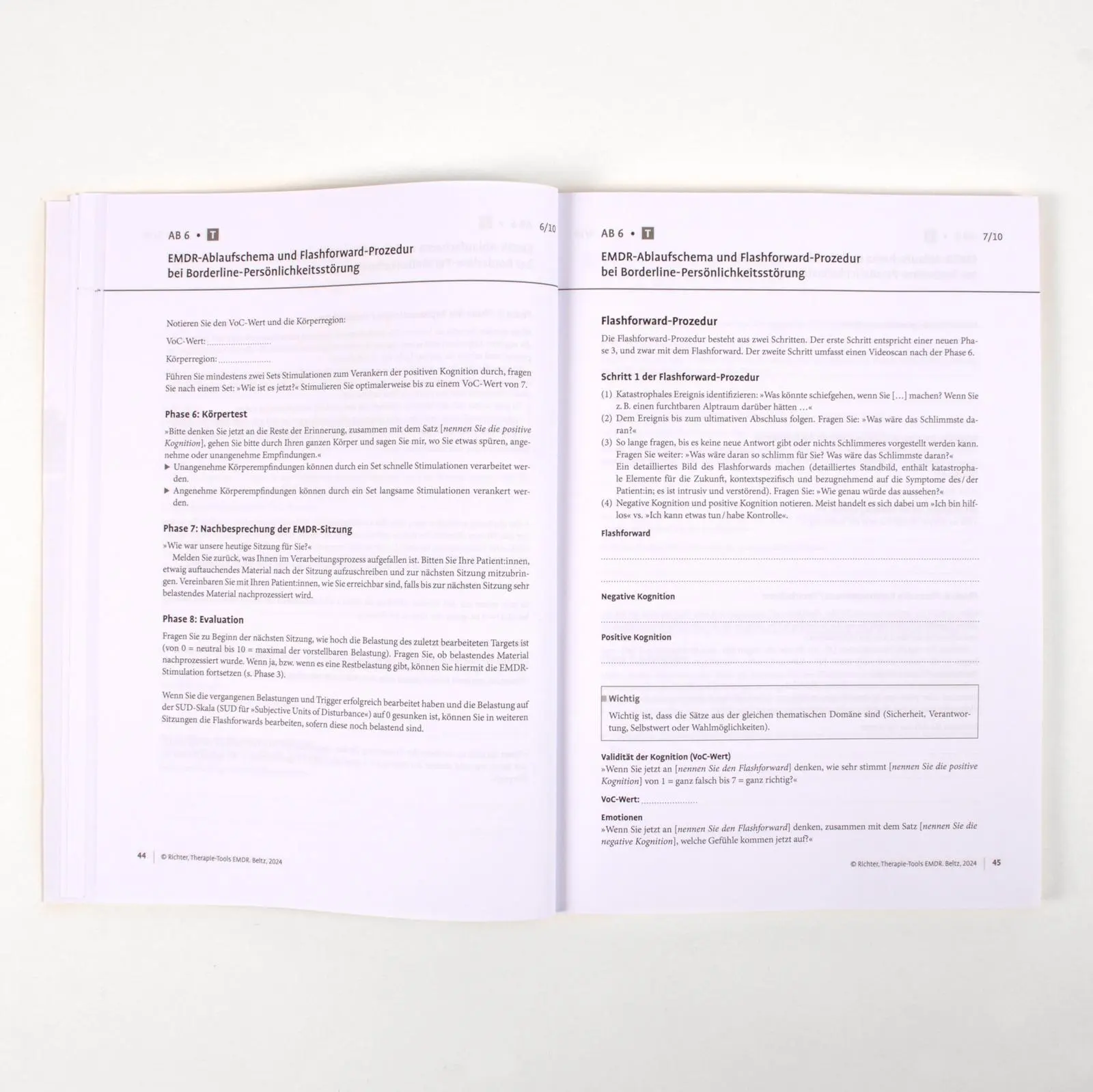 Bild: 9783621289092 | Therapie-Tools EMDR | Mit E-Book inside und Arbeitsmaterial | Richter