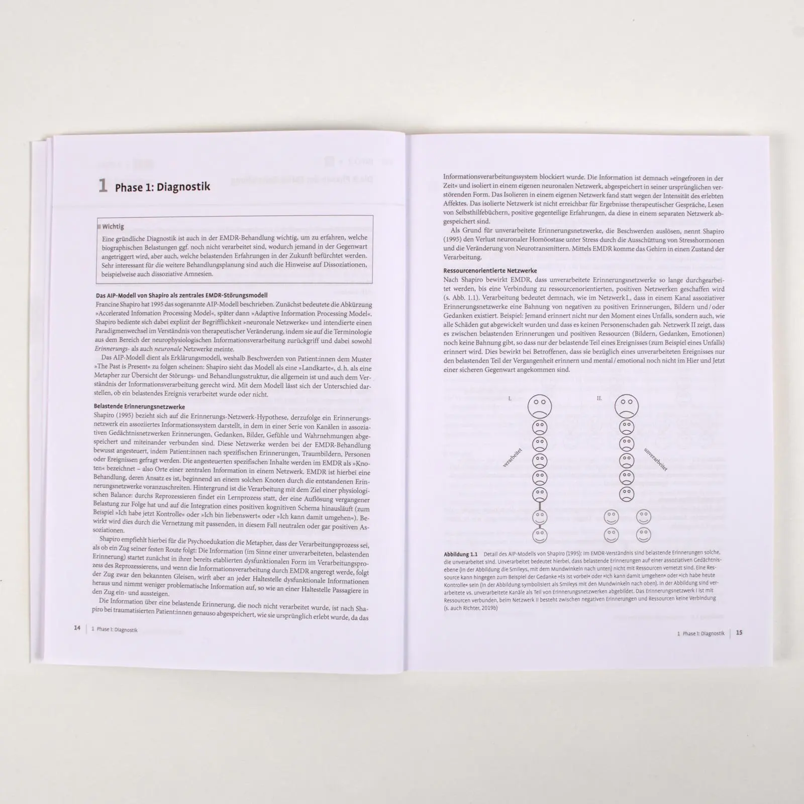 Bild: 9783621289092 | Therapie-Tools EMDR | Mit E-Book inside und Arbeitsmaterial | Richter