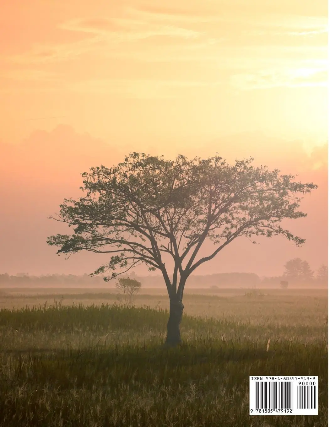 Rückseite: 9781805479192 | Spiritual Life and the Word of God | Emanuel Swedenborg | Taschenbuch