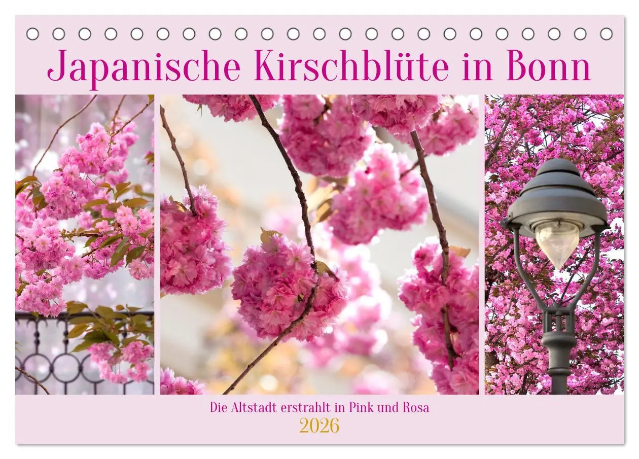 Cover: 9783457559192 | Japanische Kirschblüte in Bonn (Tischkalender 2026 DIN A5 quer),...
