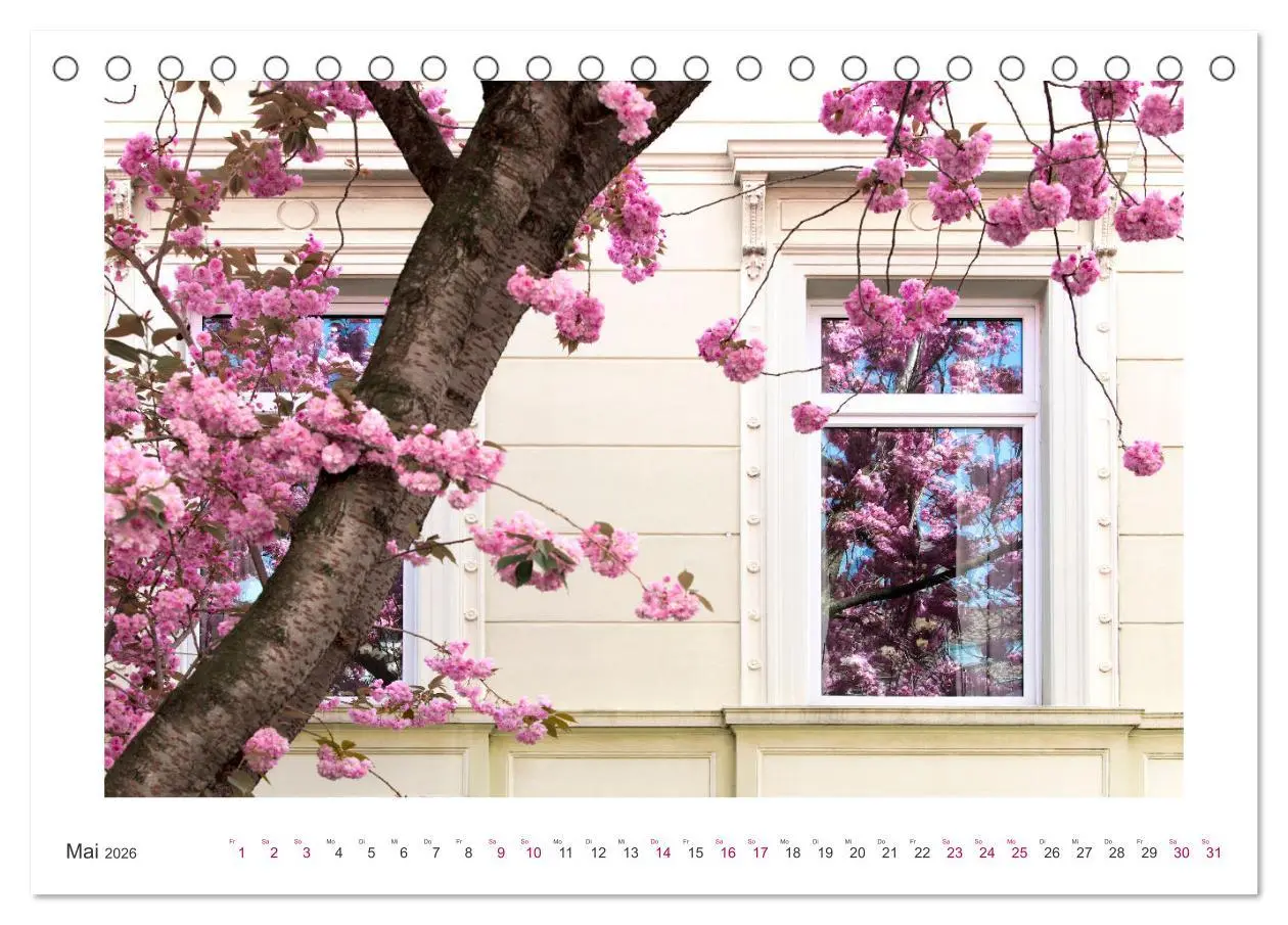 Bild: 9783457559192 | Japanische Kirschblüte in Bonn (Tischkalender 2026 DIN A5 quer),...