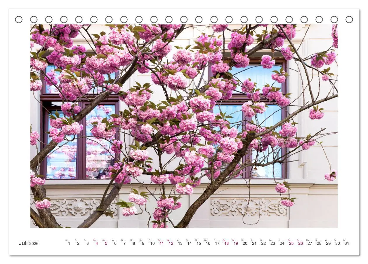 Bild: 9783457559192 | Japanische Kirschblüte in Bonn (Tischkalender 2026 DIN A5 quer),...