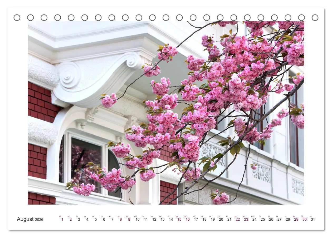 Bild: 9783457559192 | Japanische Kirschblüte in Bonn (Tischkalender 2026 DIN A5 quer),...