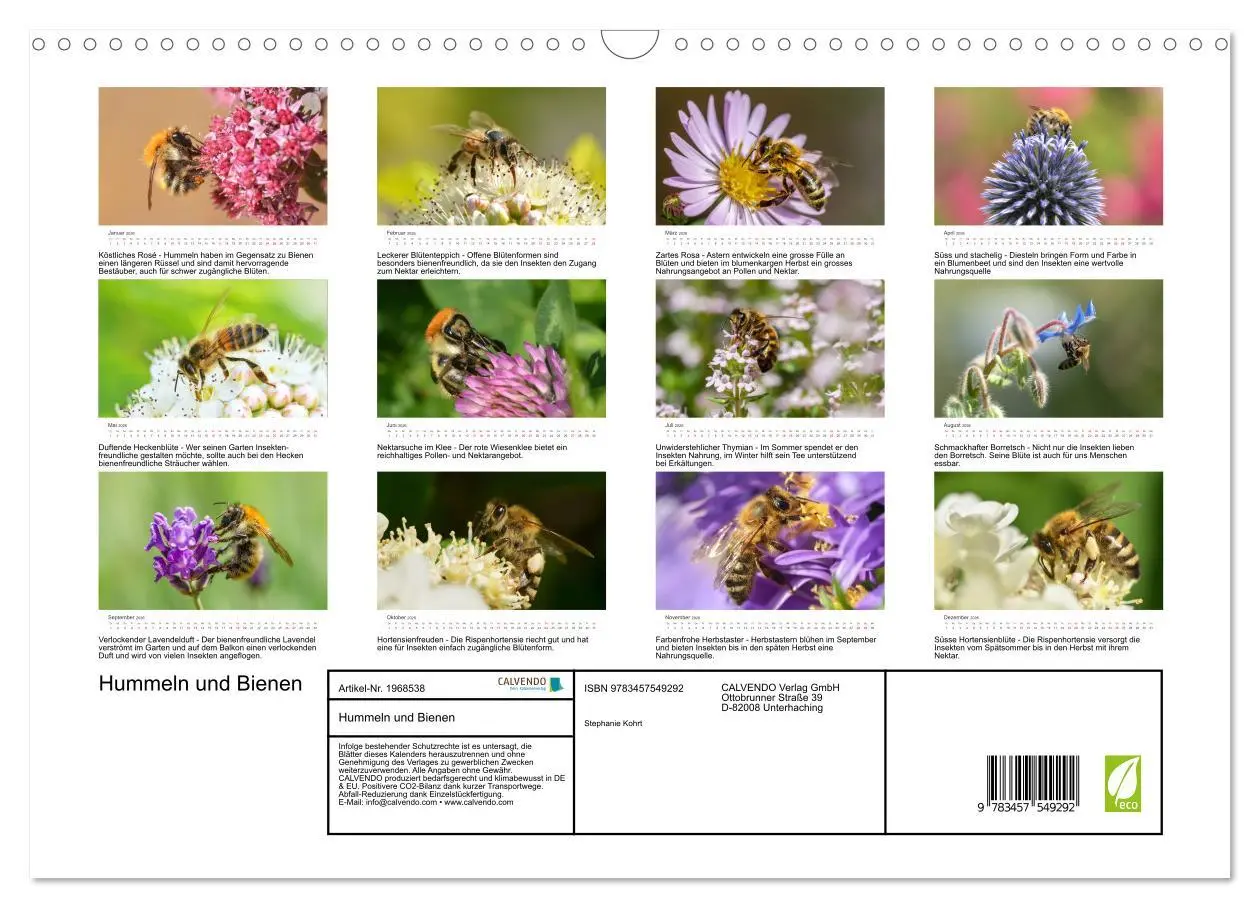Bild: 9783457549292 | Hummeln und Bienen (Wandkalender 2026 DIN A3 quer), CALVENDO...