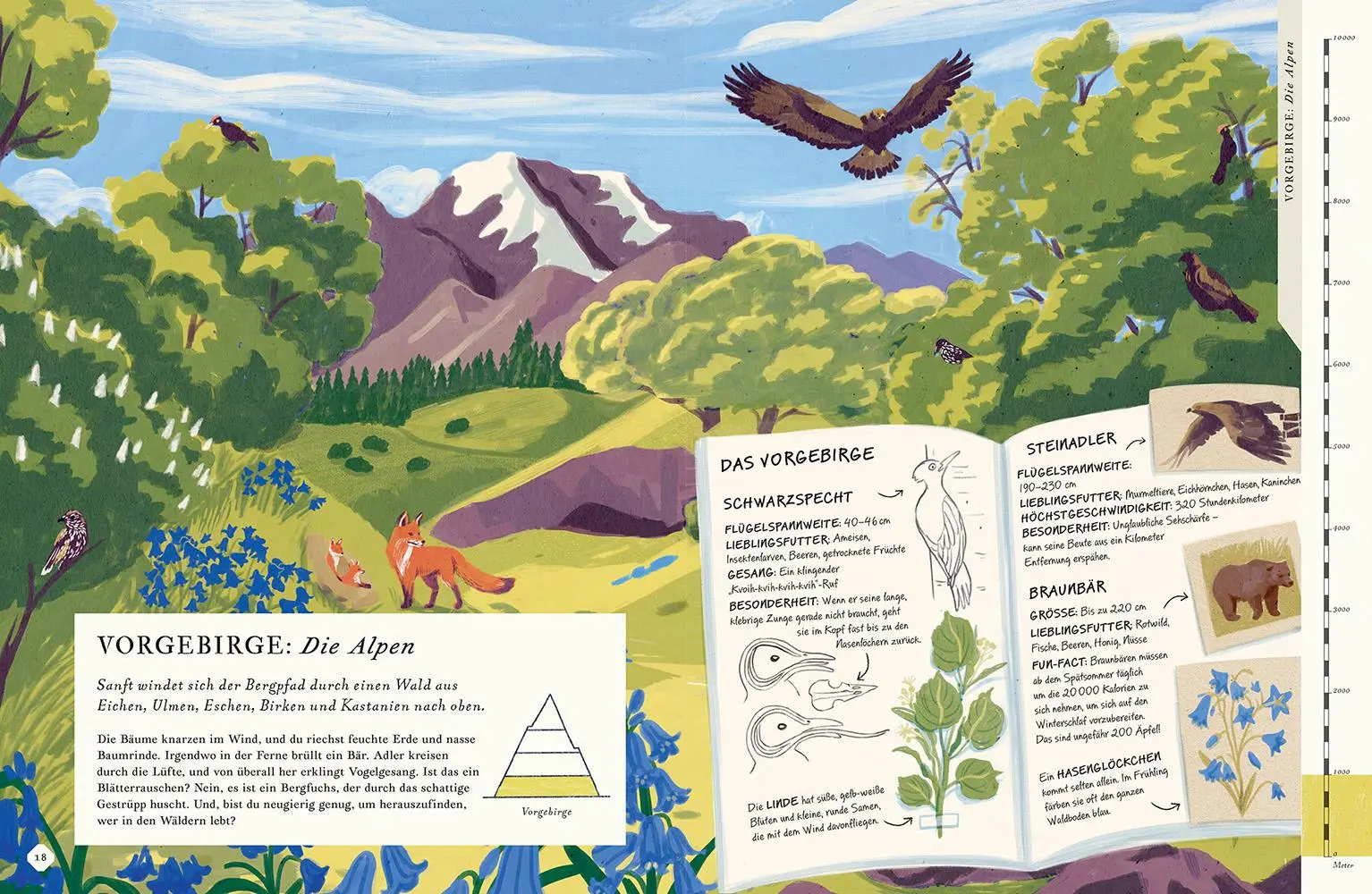 Bild: 9783957289292 | Besteige den Berg in diesem Buch | Rachel Elliot | Buch | 48 S. | 2025