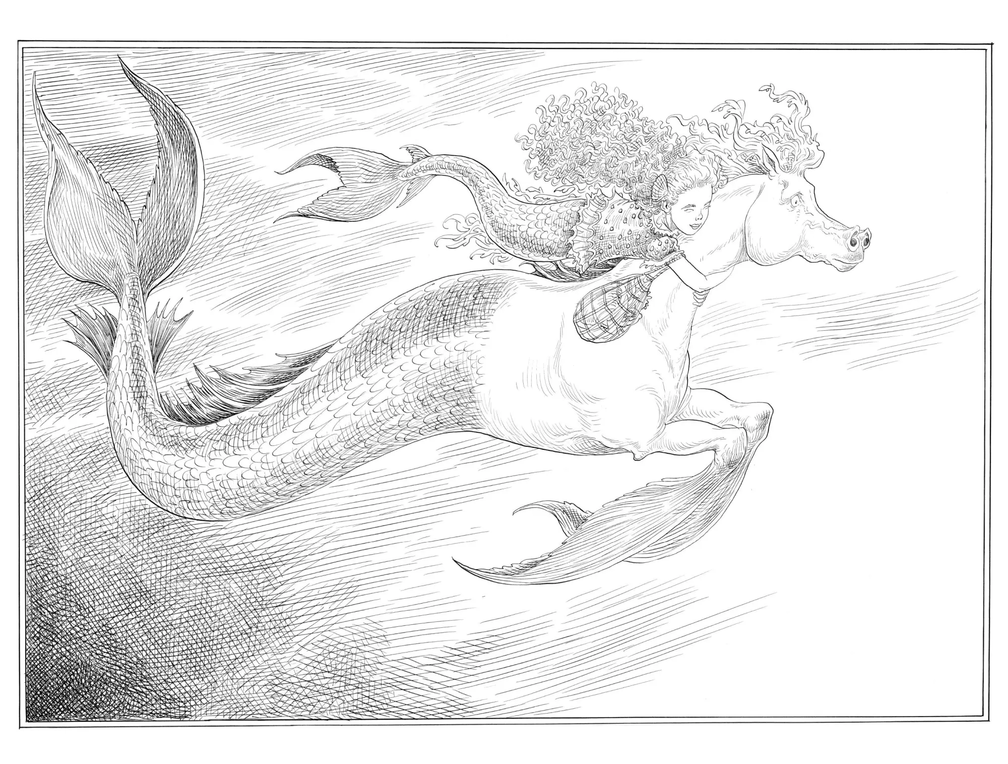 Bild: 9781529009392 | A Mermaid's Diary | Chris Riddell | Buch | X | Englisch | 2025