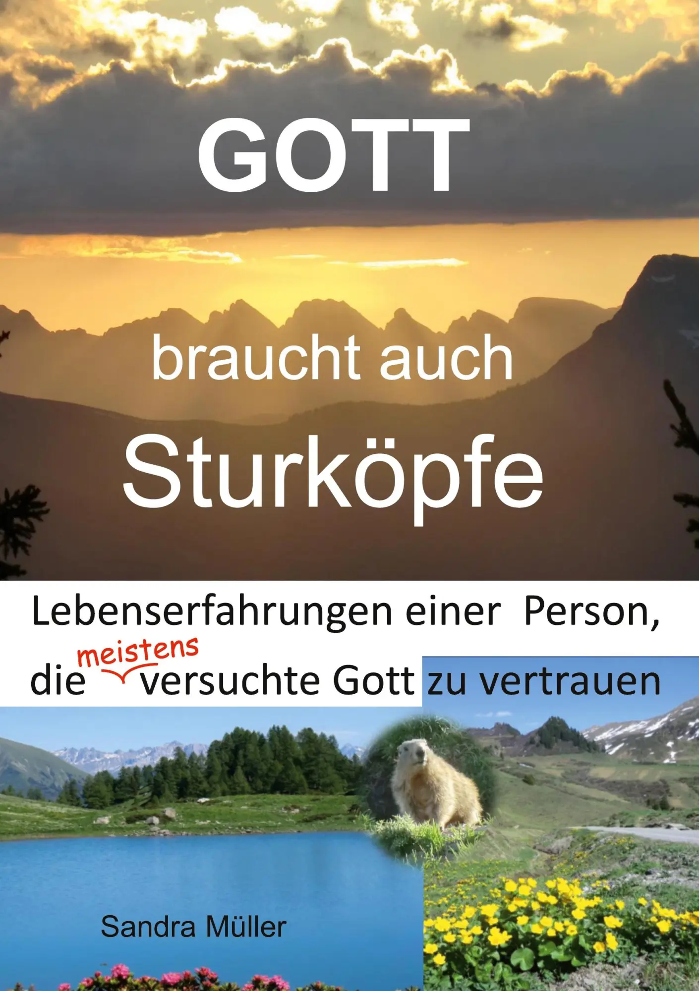Cover: 9783749449392 | Gott braucht auch Sturköpfe | Sandra Müller | Taschenbuch | Paperback