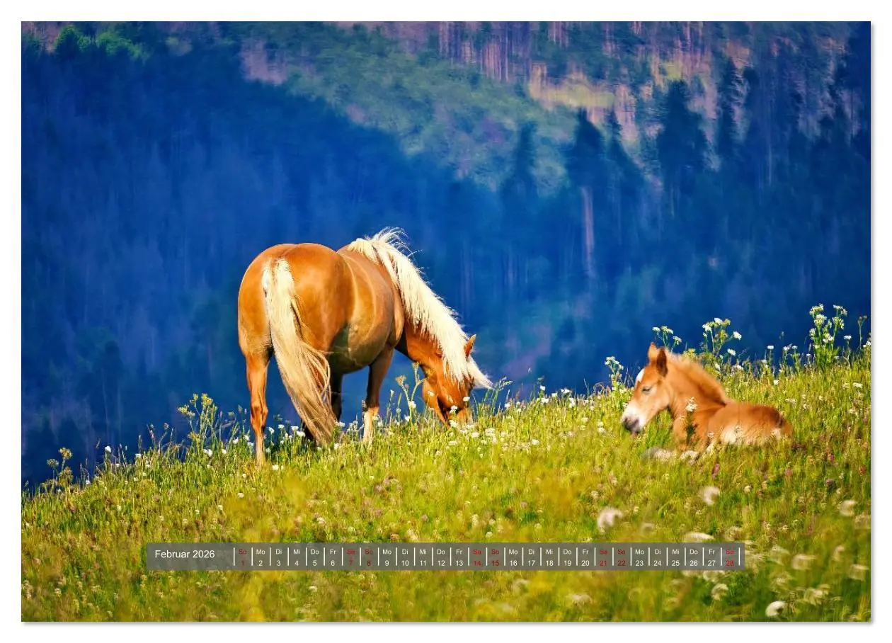 Bild: 9783516619492 | Die besonderen Haflinger-Pferde (Wandkalender 2026 DIN A3 quer),...