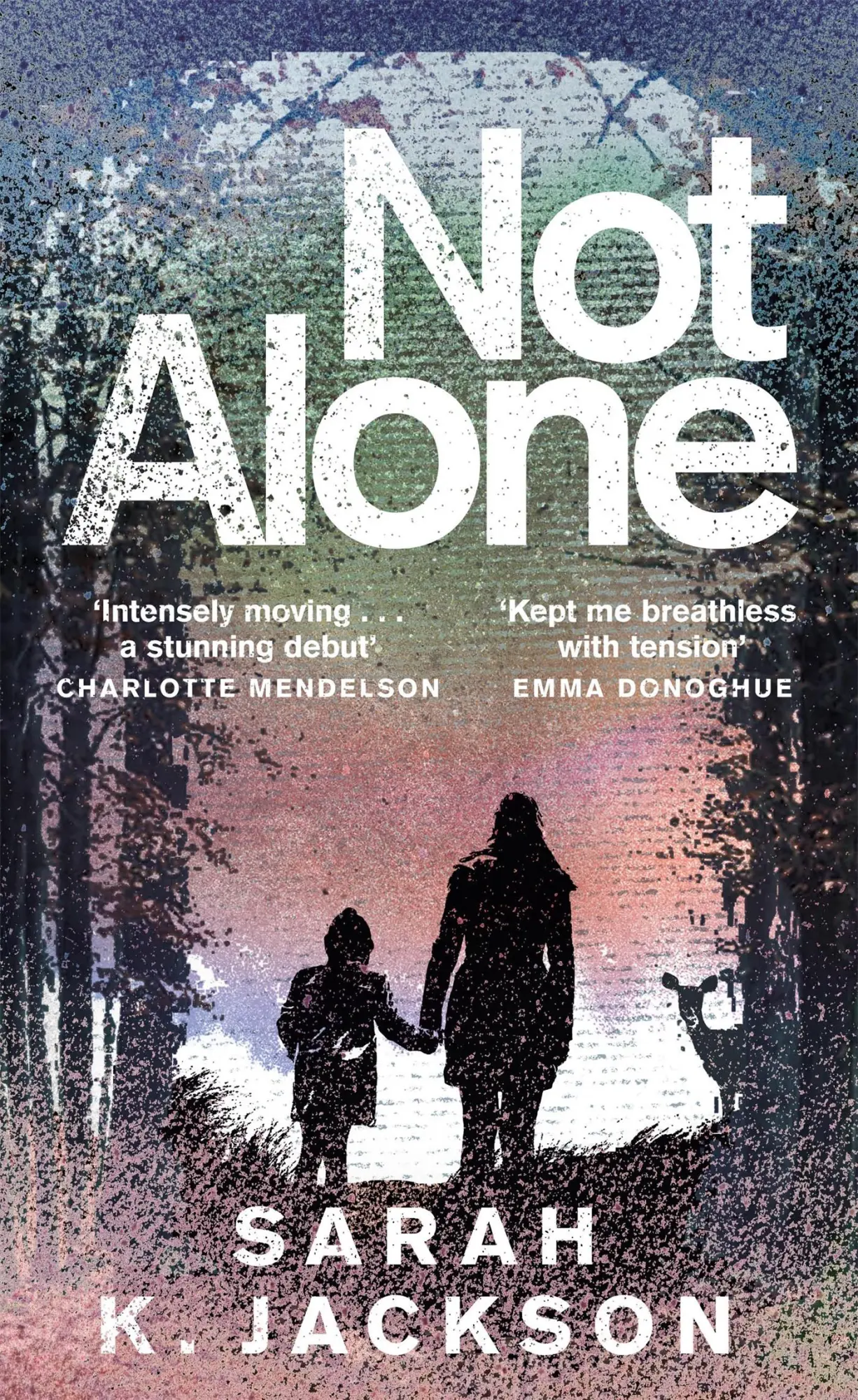 Cover: 9781529089592 | Not Alone | Sarah K Jackson | Taschenbuch | Englisch | 2023