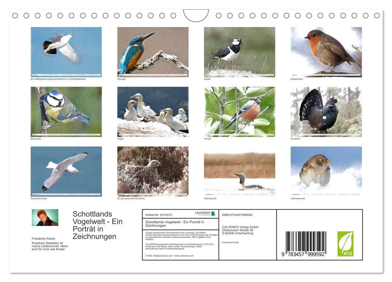 Bild: 9783457999592 | Schottlands Vogelwelt - Ein Porträt in Zeichnungen (Wandkalender...