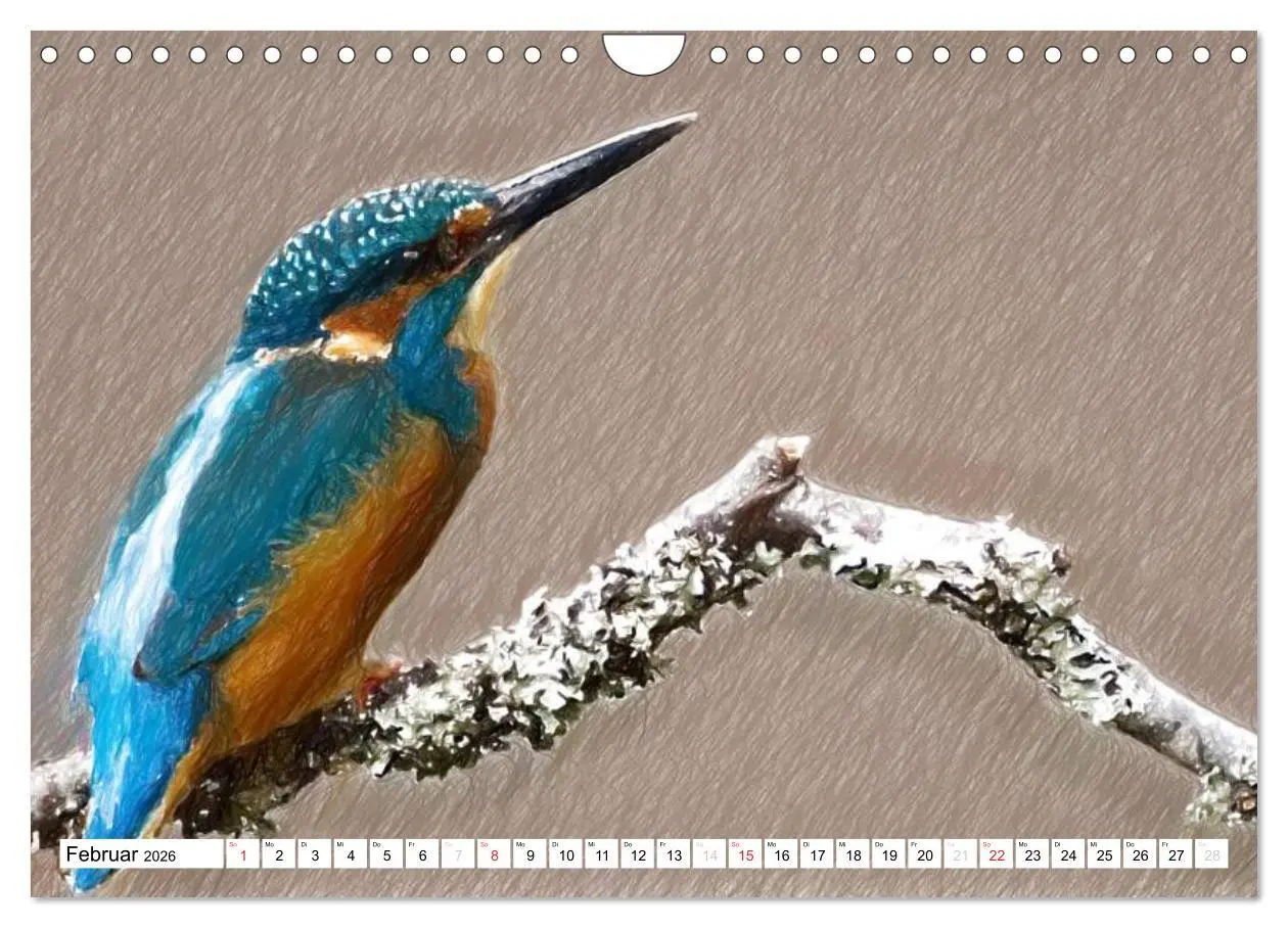 Bild: 9783457999592 | Schottlands Vogelwelt - Ein Porträt in Zeichnungen (Wandkalender...