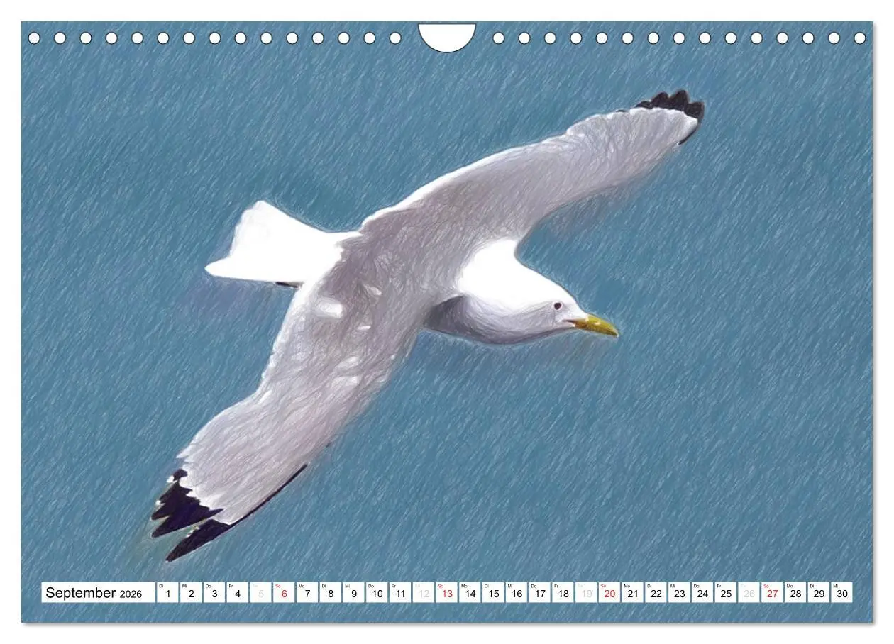Bild: 9783457999592 | Schottlands Vogelwelt - Ein Porträt in Zeichnungen (Wandkalender...