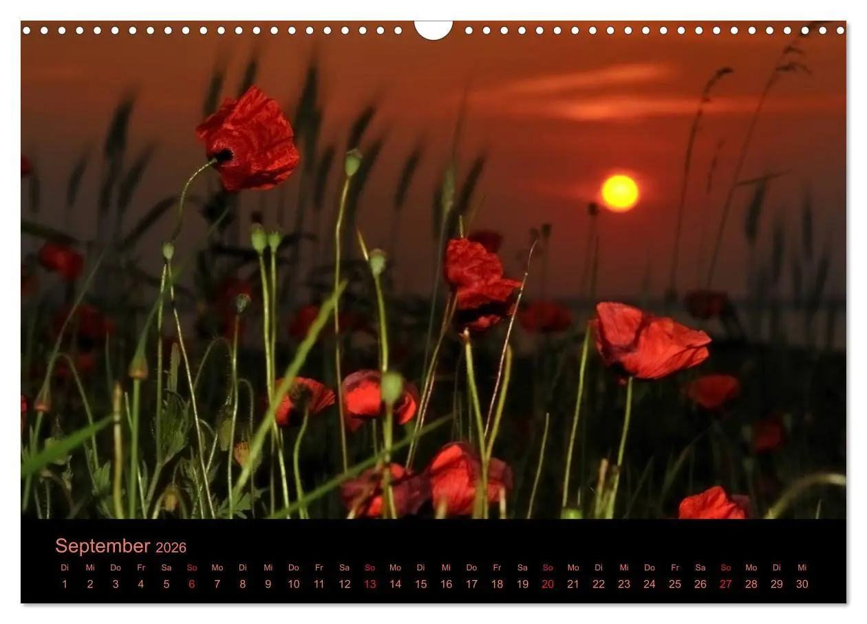 Bild: 9783516229592 | Sonnenuntergang (Wandkalender 2026 DIN A3 quer), CALVENDO...