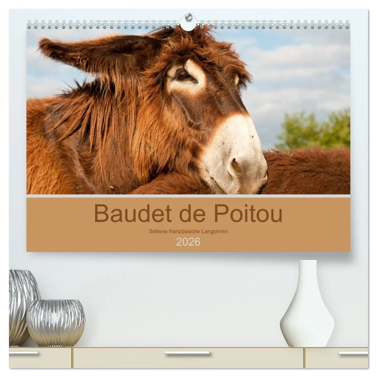 Cover: 9783457749692 | Baudet de Poitou - Seltene französische Langohren (hochwertiger...