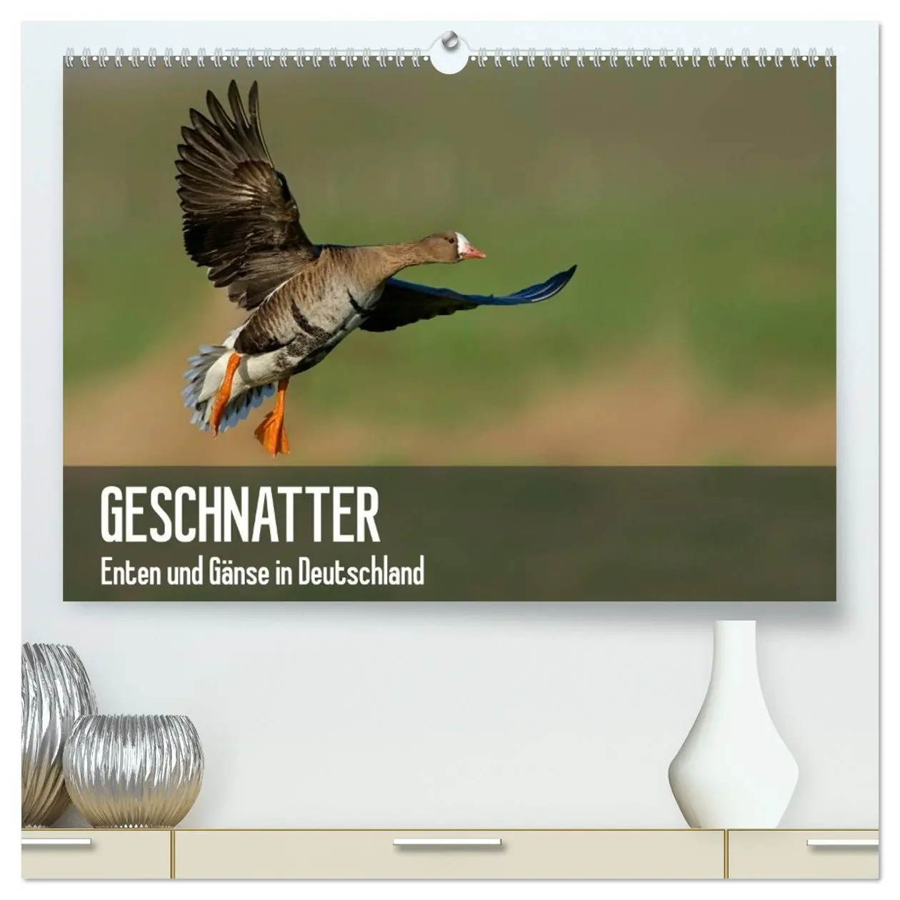 Cover: 9783516079692 | Geschnatter - Enten und Gänse in Deutschland (hochwertiger Premium...